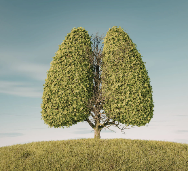 Illustration symbolique de poumons en forme d’arbre représentant la respiration, la vie, l’enracinement et la régénération intérieure.